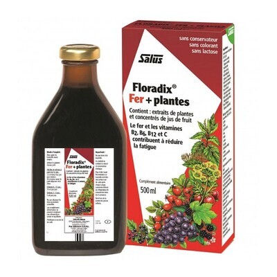 Floradix - Fer + Plantes - 500ml