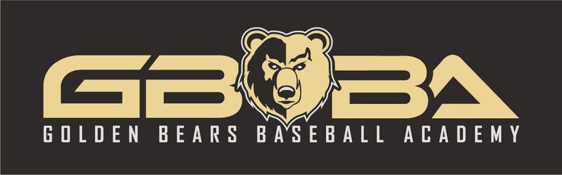 GBBA Car Sticker