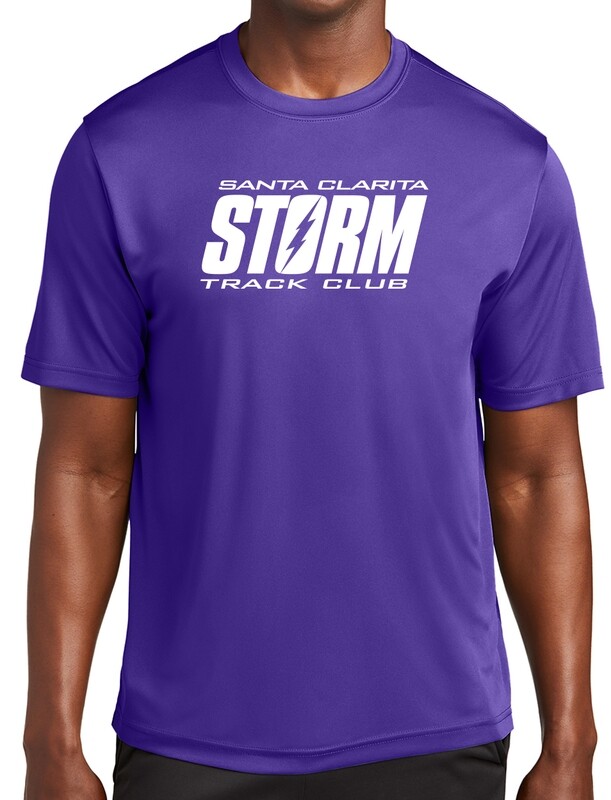 Adult Poly &quot;Dry Fit&quot; T-Shirt - Purple