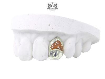 Fly Amanita - Gold Tooth