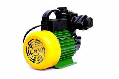 KOEL By Kirloskar Qaurax 0.5hp Water Pump With 1 Year Replacement Warranty