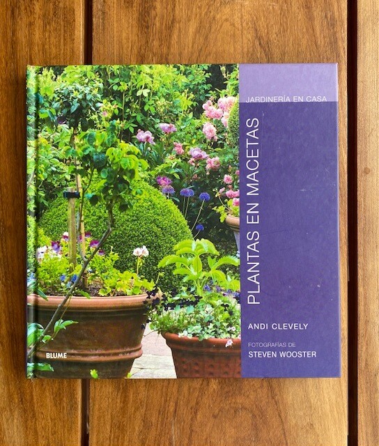Plantas en Macetas