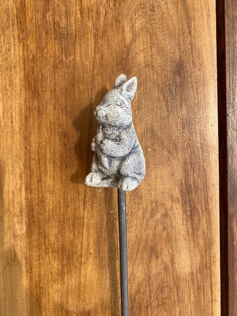 Tutor Pincho Conejo