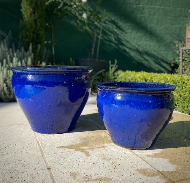 Ampuria Azul