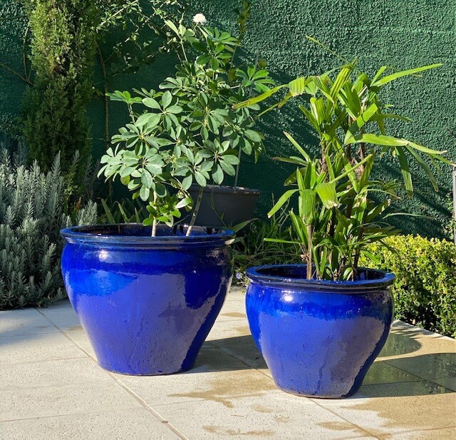 Ampuria Azul
