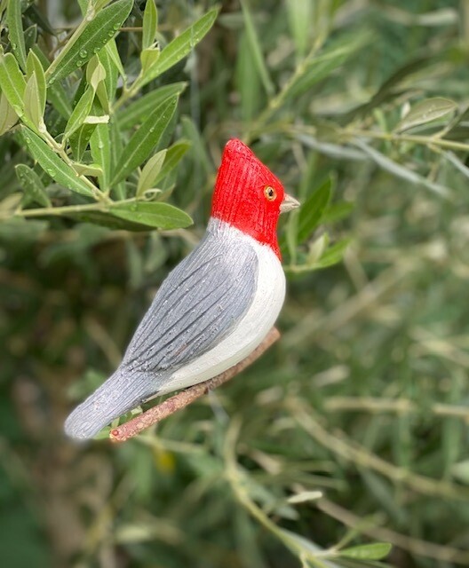 Pájaro Cardenal