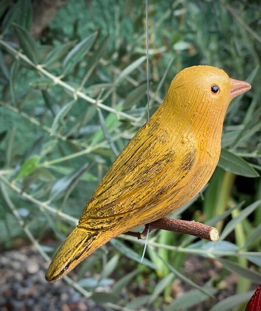 Pájaro Dorado