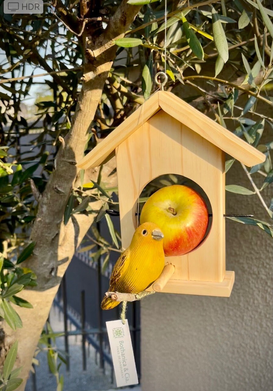 Frutero para Pájaros