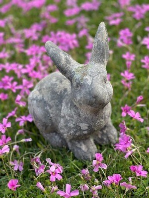 Conejo Símil Piedra