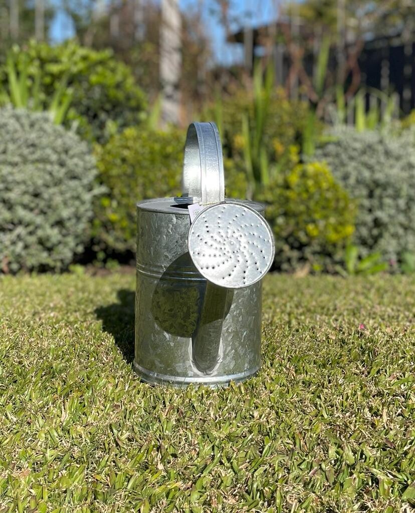 Regadera de Latón 6L
