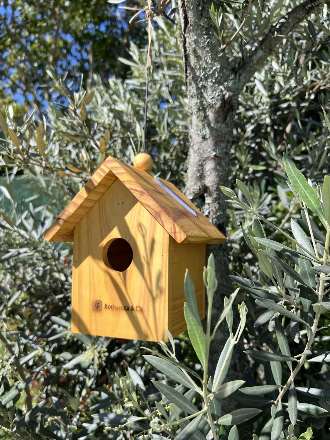 Casita Nido