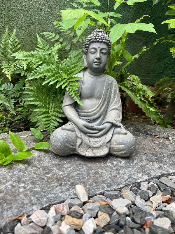 Buda Mudra Dhyana