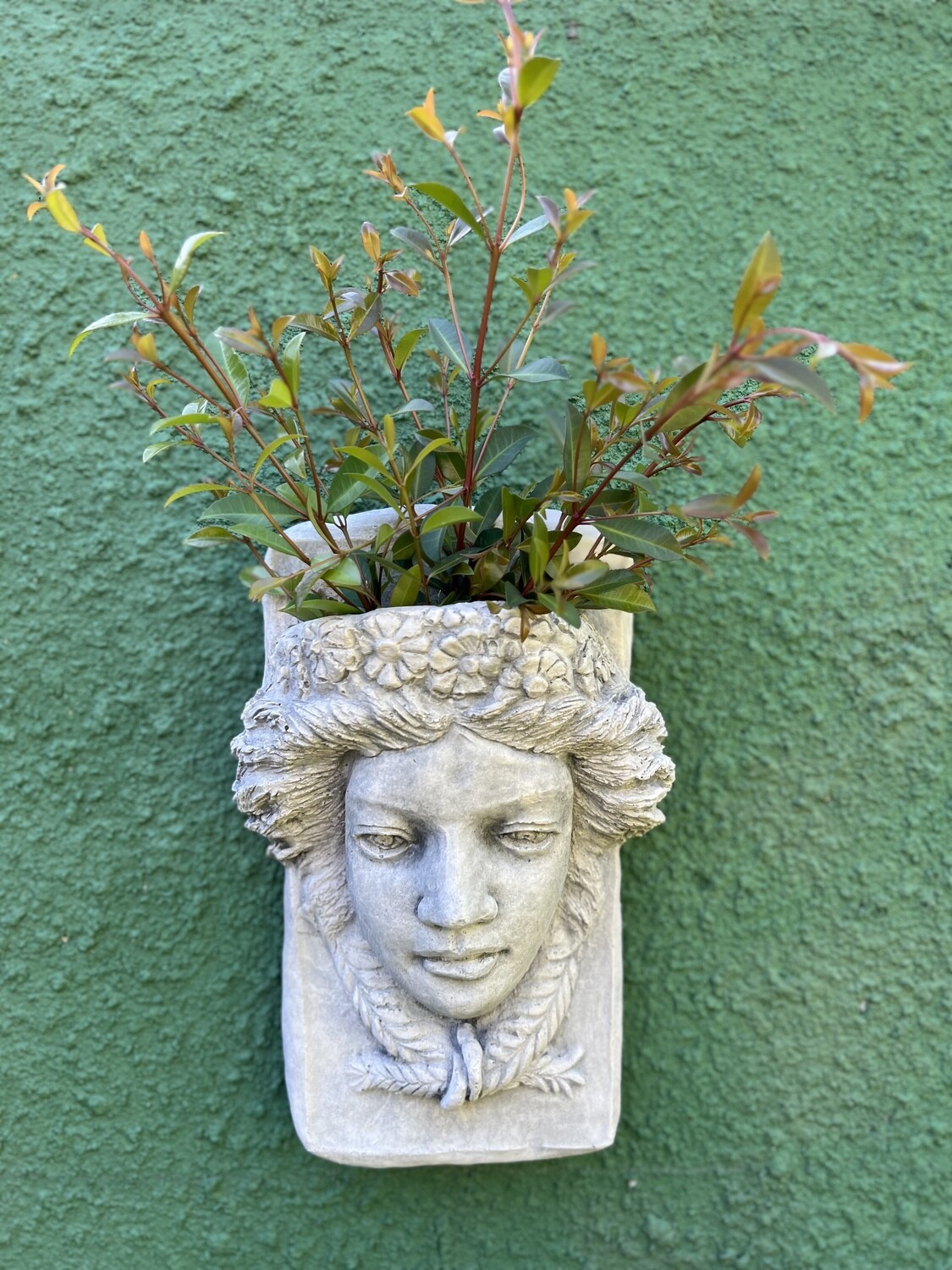 Cabeza Primavera