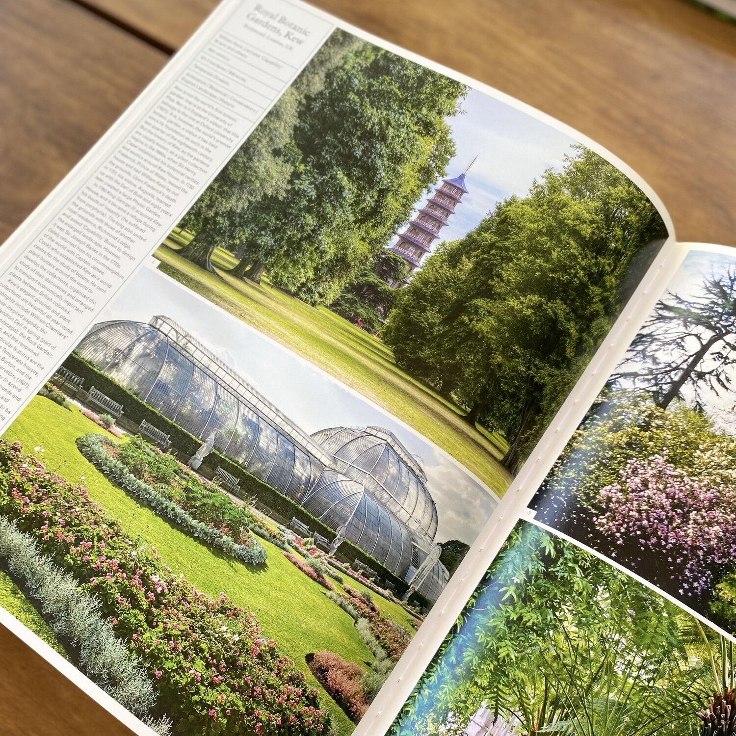 The Gardener's Garden