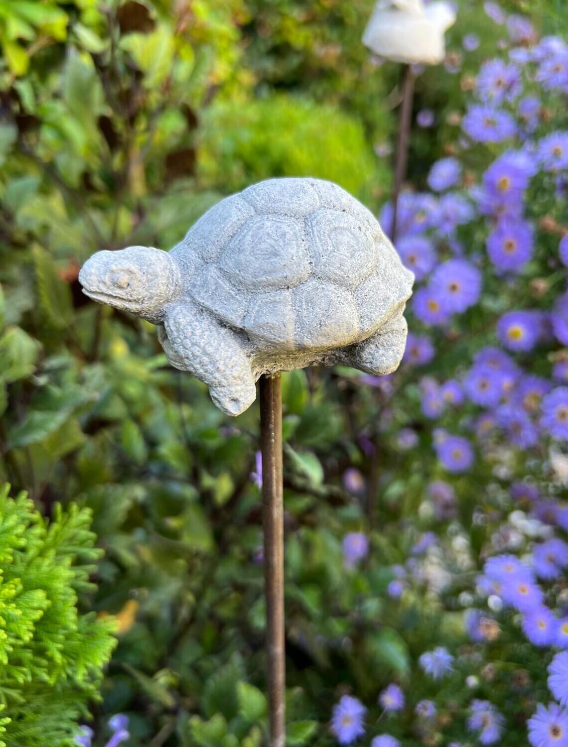 Tutor Pincho Tortuga