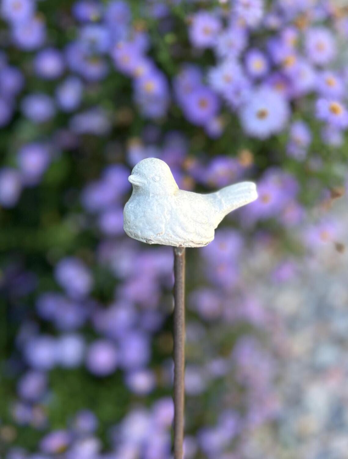 Tutor Pincho Pajarito, Diseño: Pajarito Cola Baja