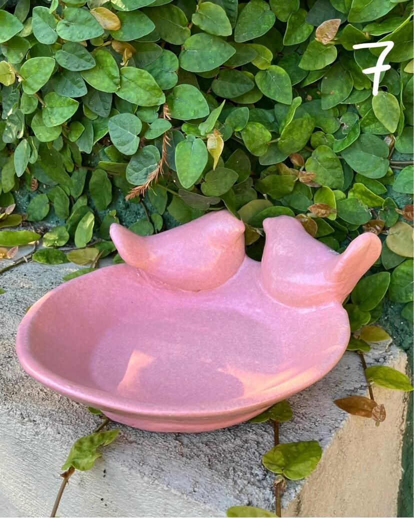 Bebedero Pardal Rosado, Diseño: Bebedero 7