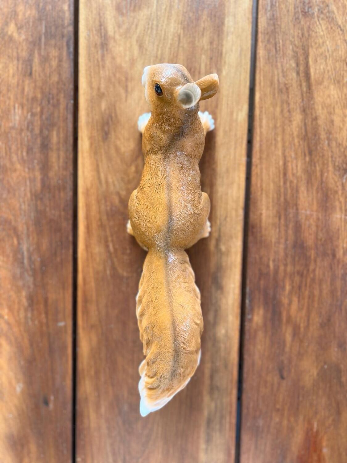 Ardilla Grande, Tamaño: Ardilla