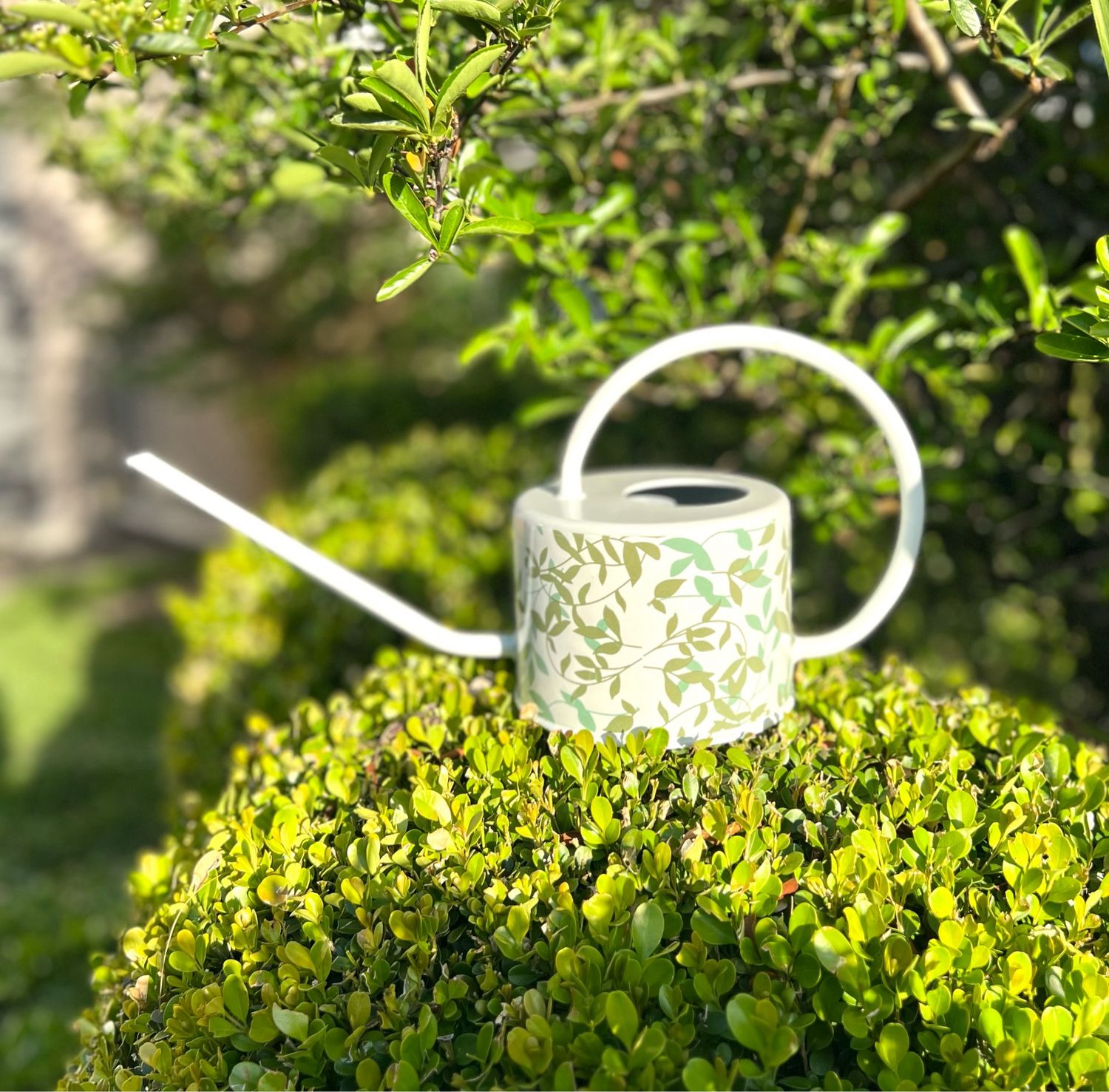 Regadera Primavera