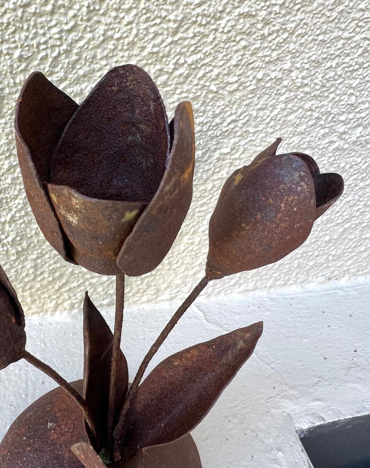 Tulipanes