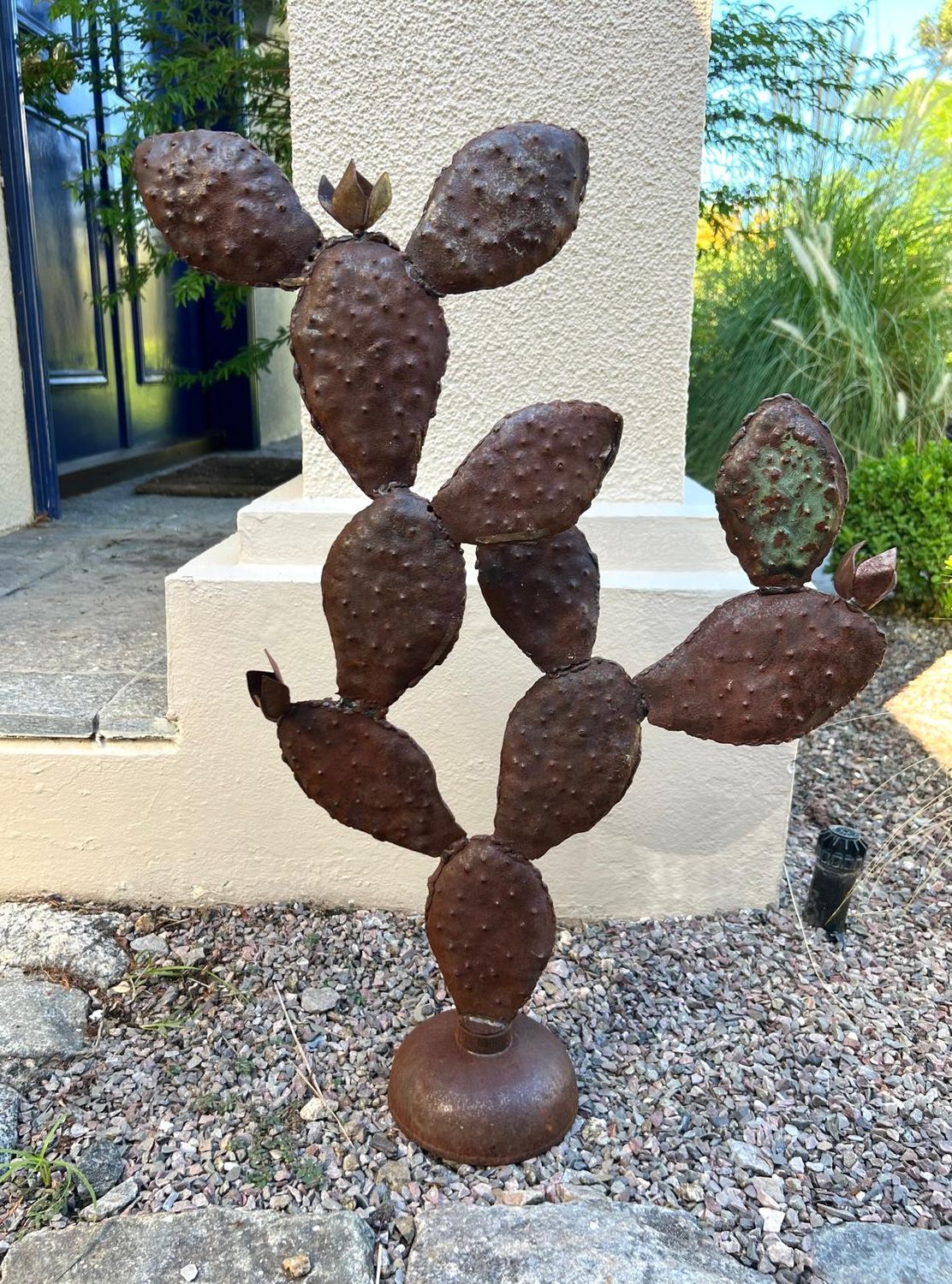 Opuntia