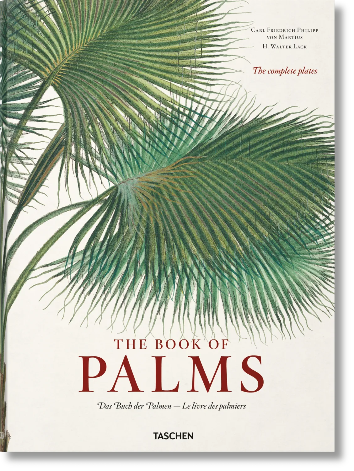 The Book of PALMS