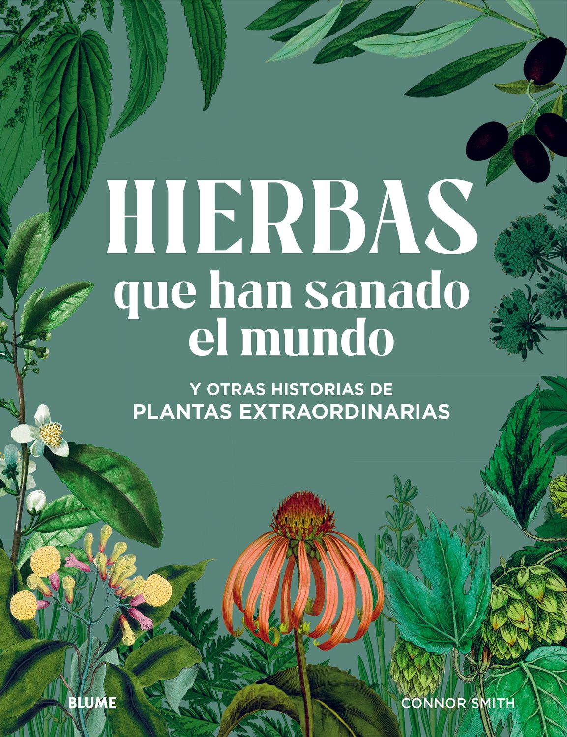 HIERBAS que han sanado el mundo