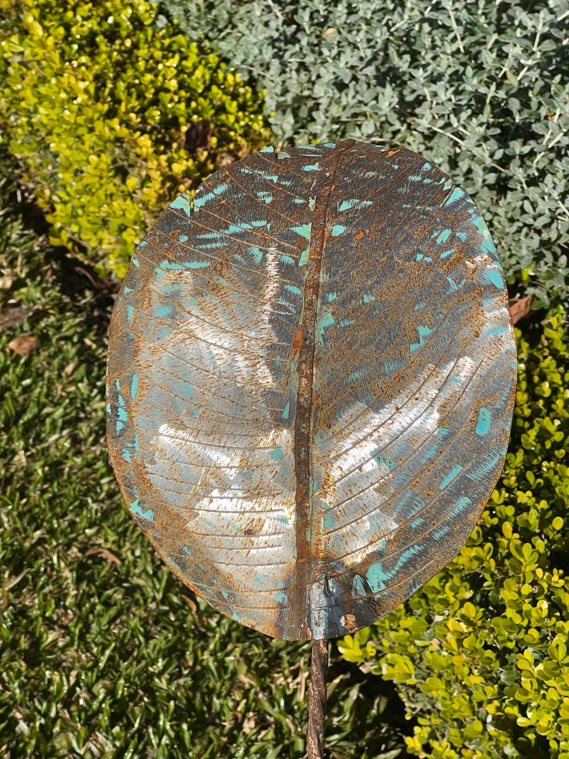 Sterlitzia
