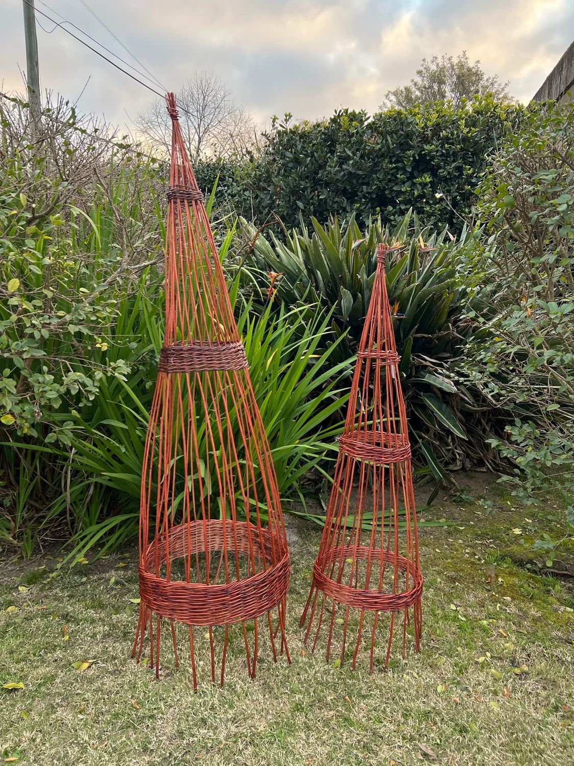 Tutor Torre Mimbre, Tamaño: S