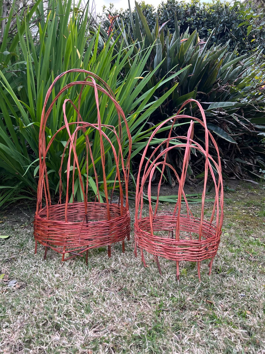 Tutor Campana Mimbre