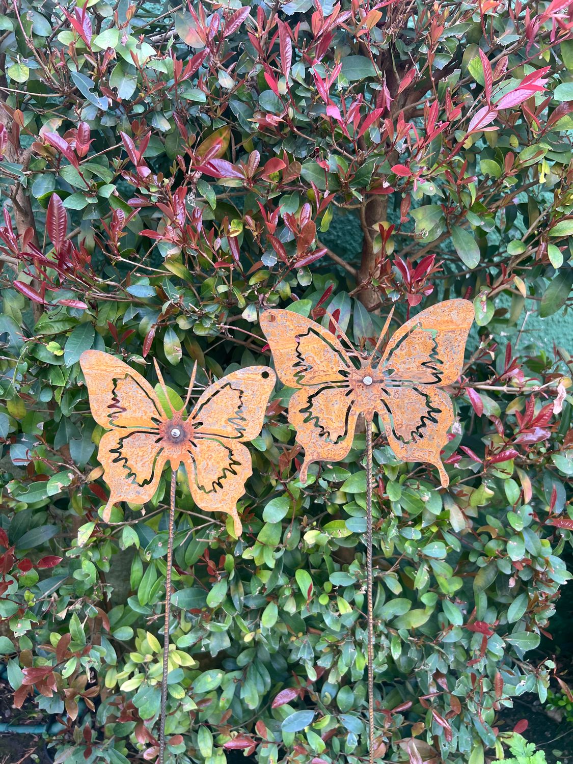 Tutor Pincho Mariposa