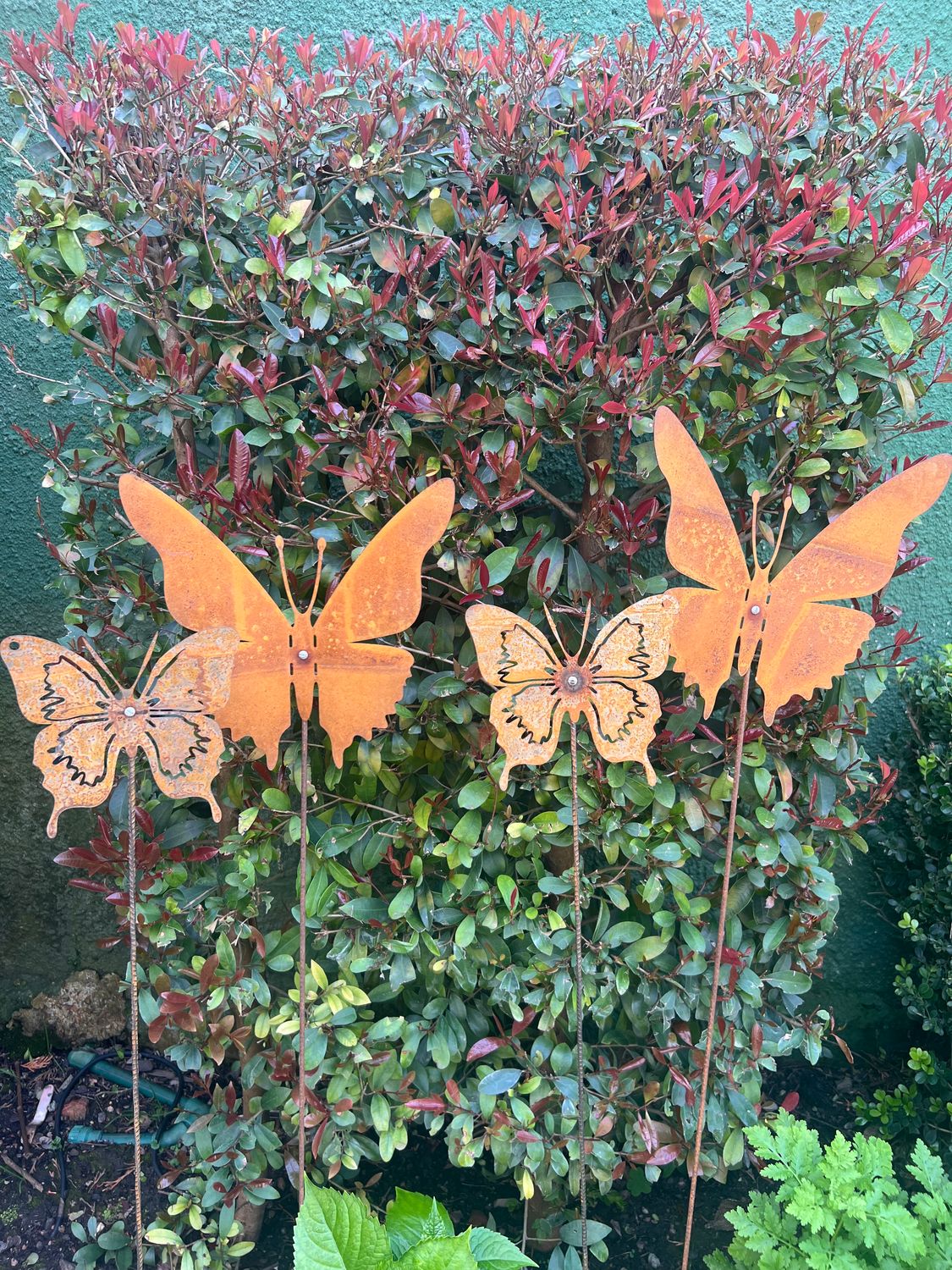 Tutor Pincho Mariposa