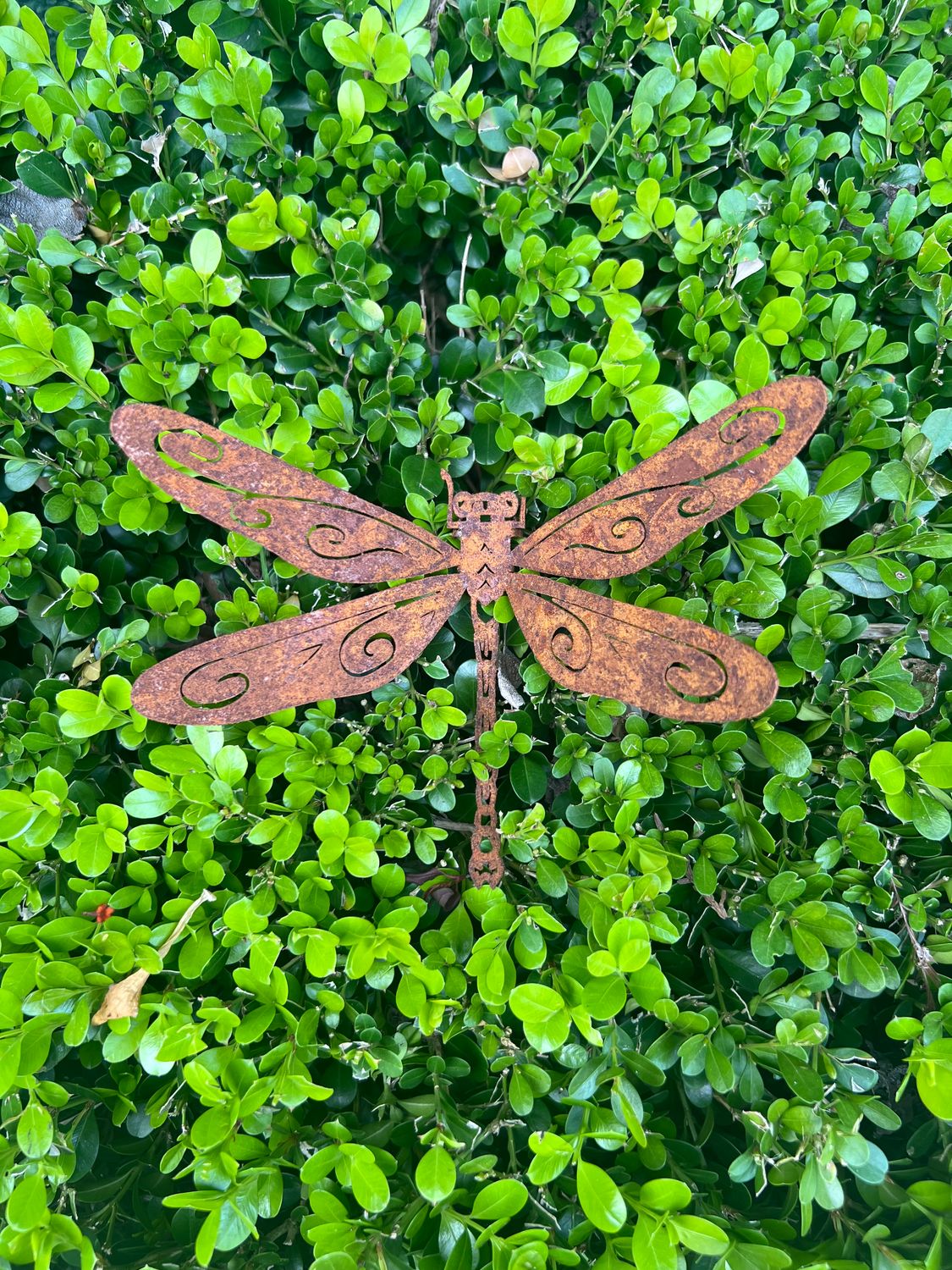 Silueta Libélula