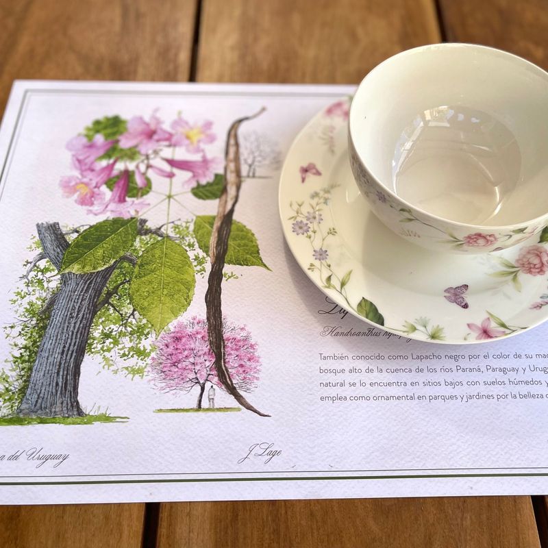 Flora Nativa del Uruguay