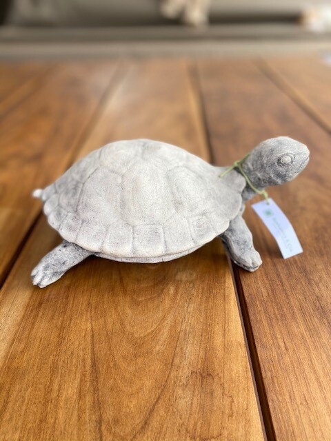 Tortuga