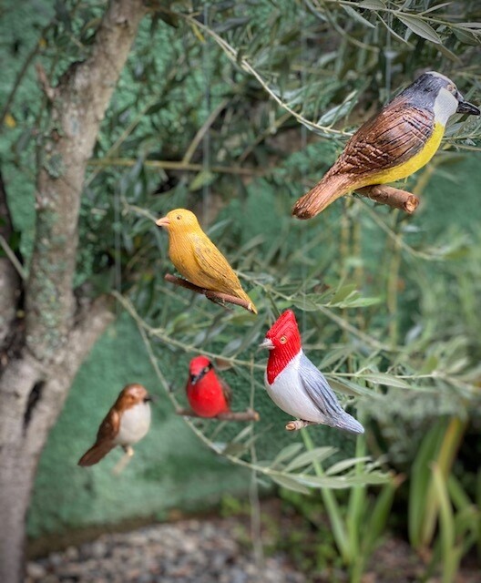 Pájaro Cardenal Rojo