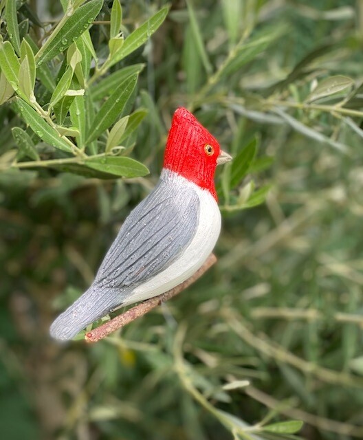 Pájaro Cardenal Rojo