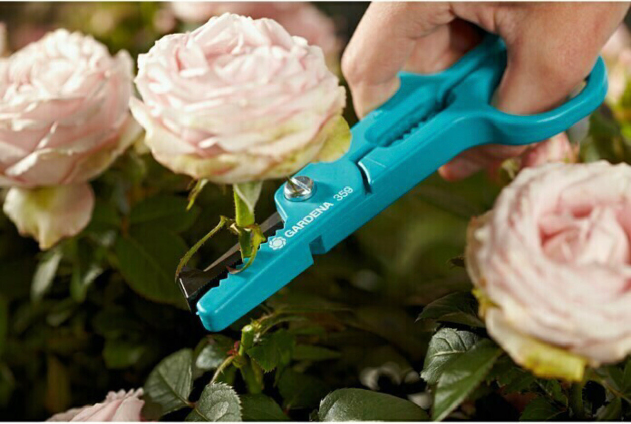 Tijera para Rosas Gardena