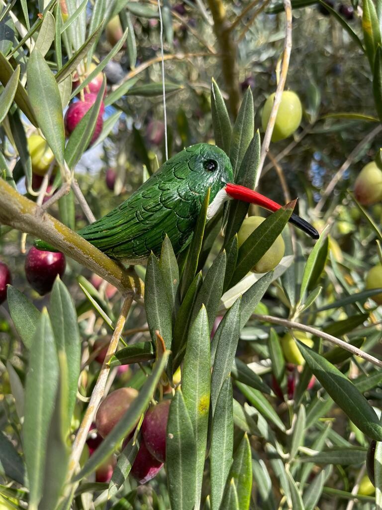 Pájaro Picaflor