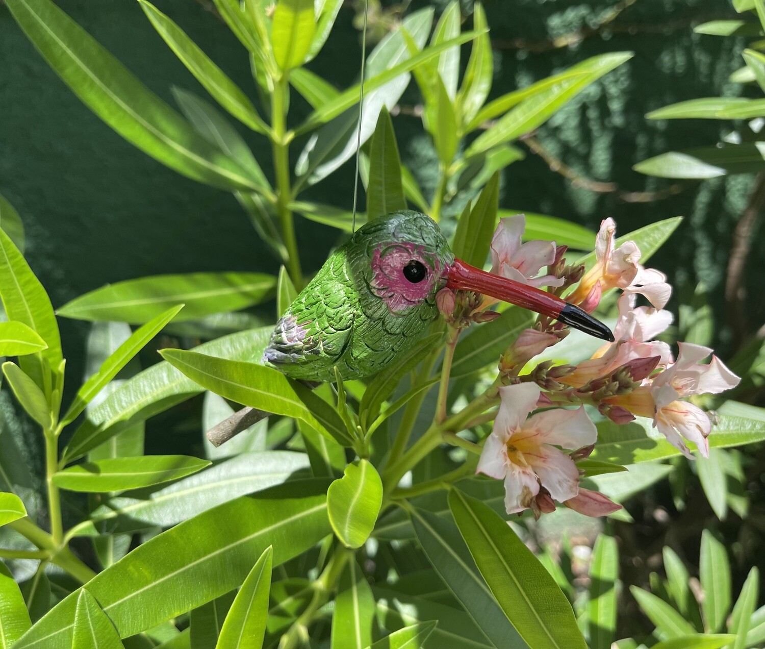 Pájaro Picaflor