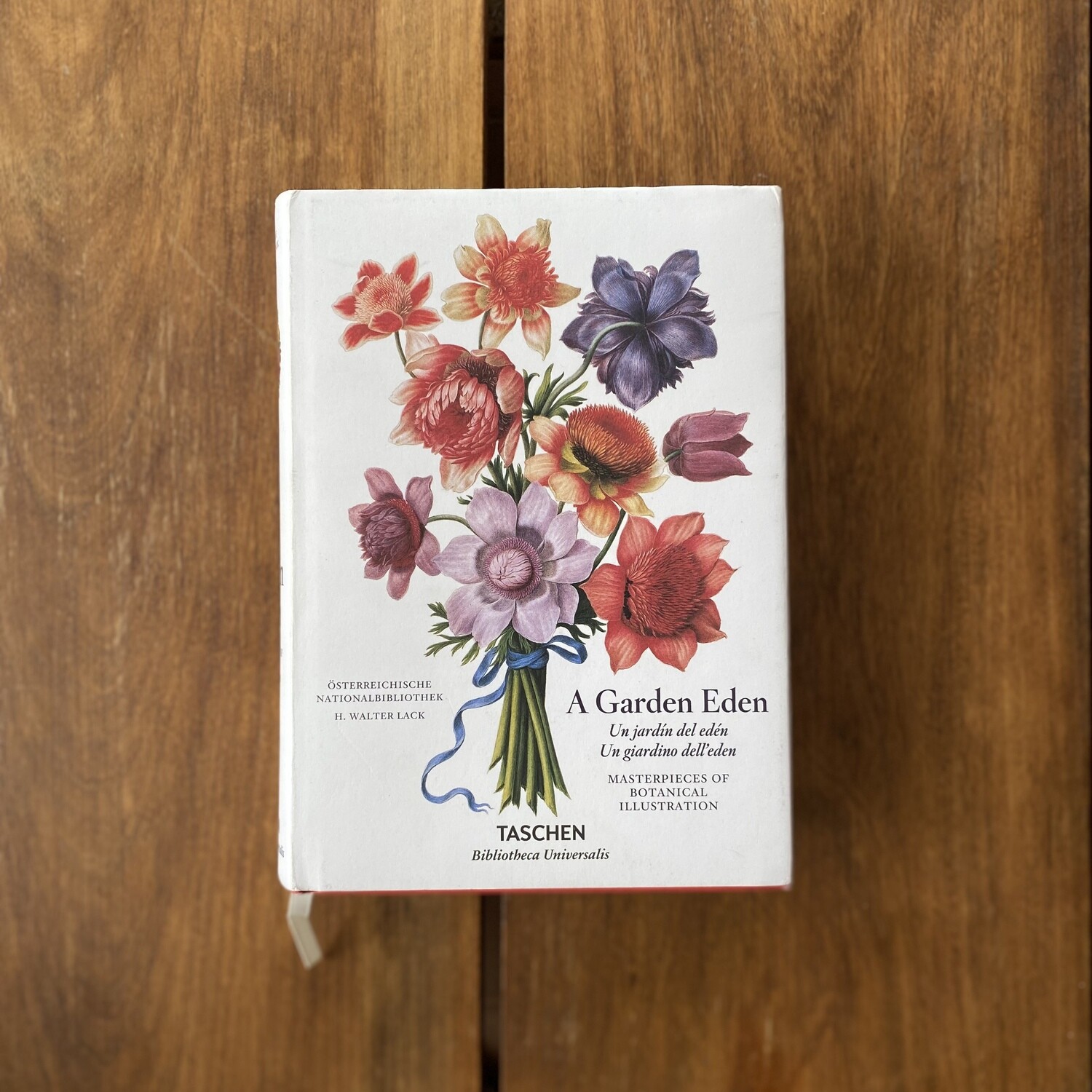 A Garden Eden