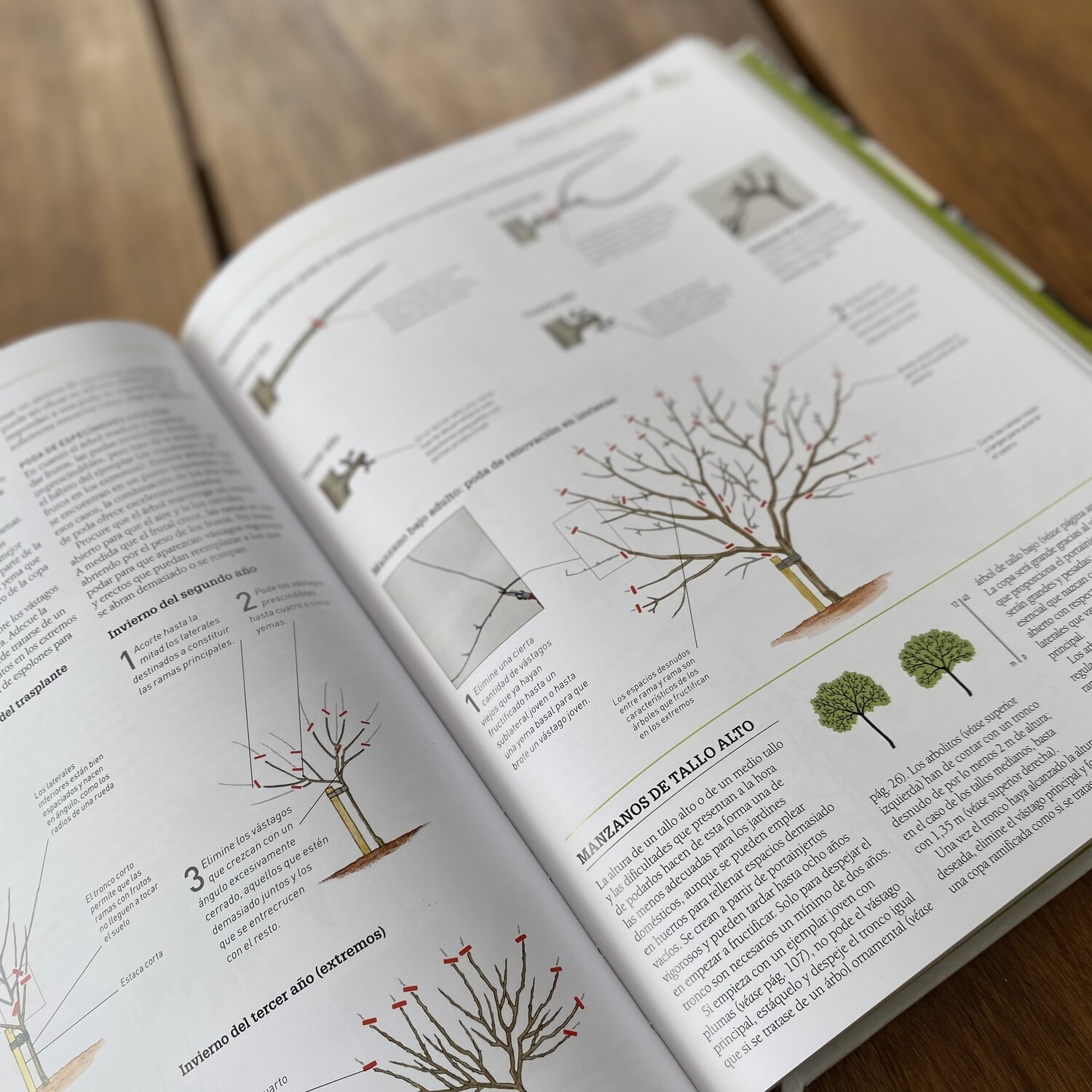 Enciclopedia de la Poda y Formación