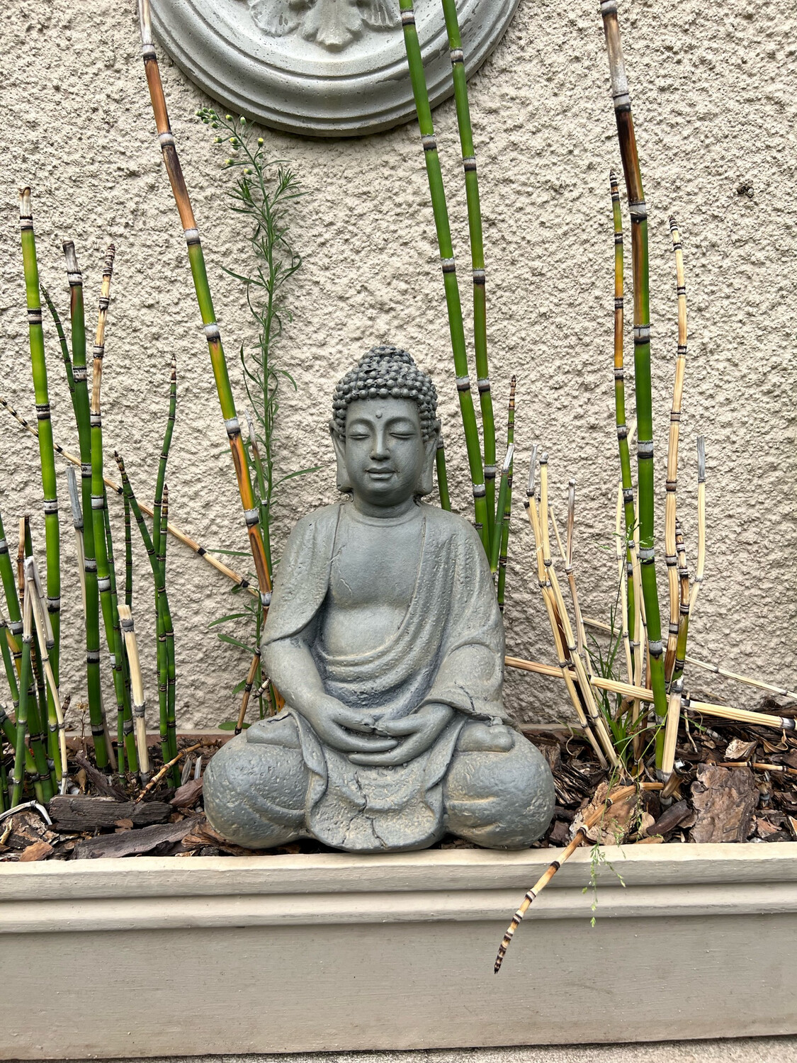 Buda Mudra Dhyana