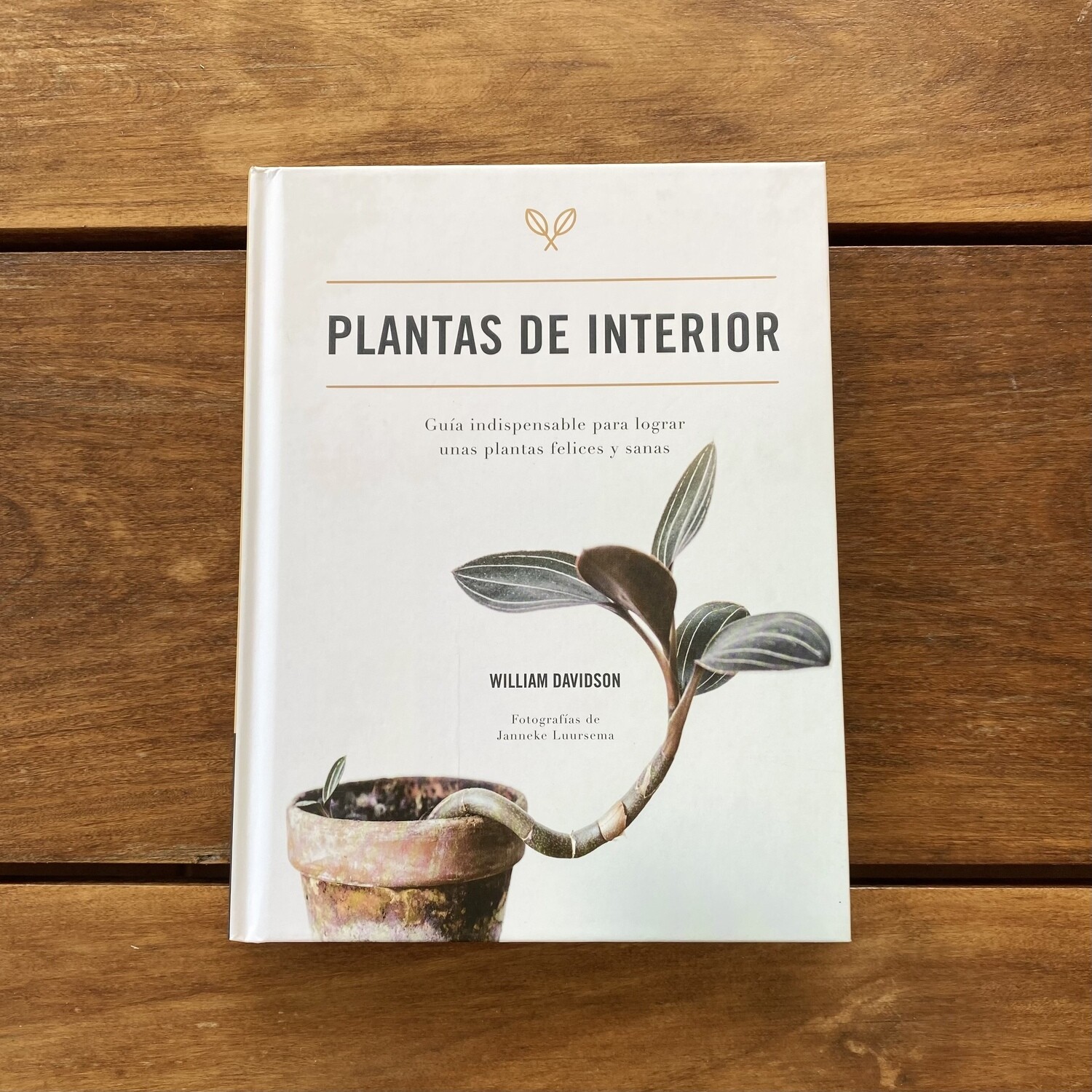 Plantas de Interior