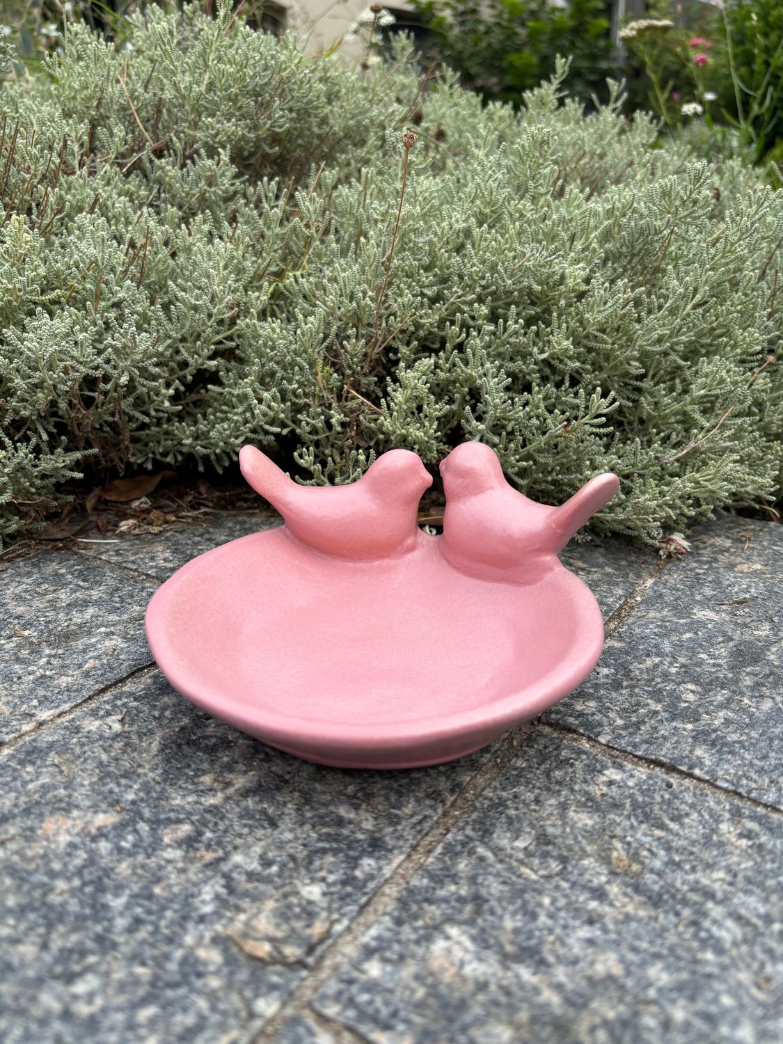 Bebedero Pardal Rosado