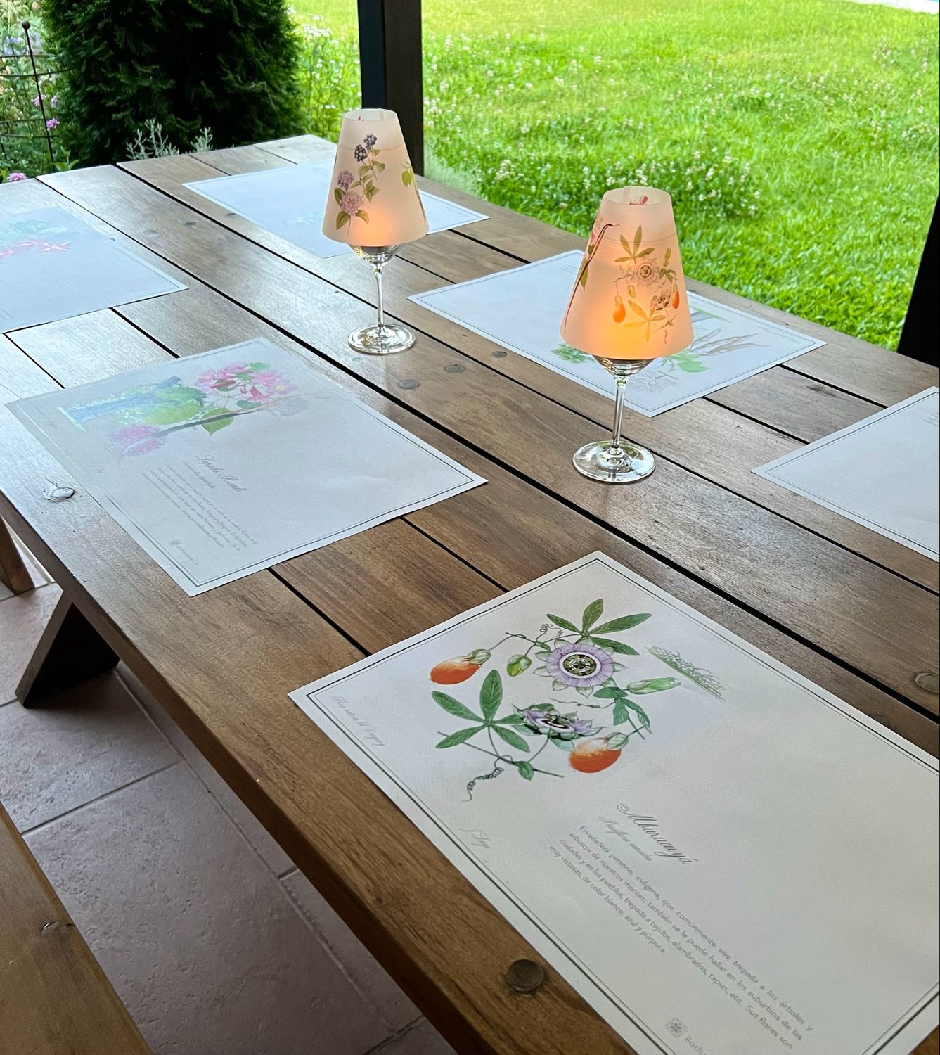 Individuales de Papel - Flora Nativa del Uruguay