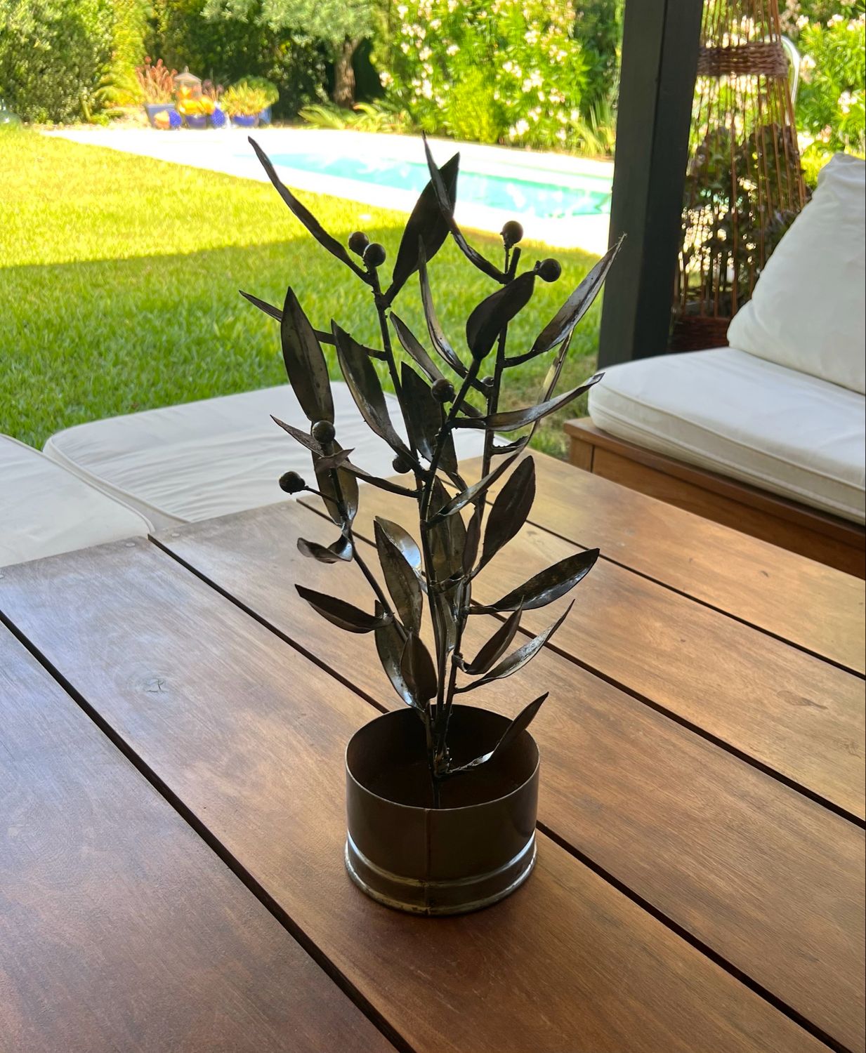 Olivo Arte Botánico
