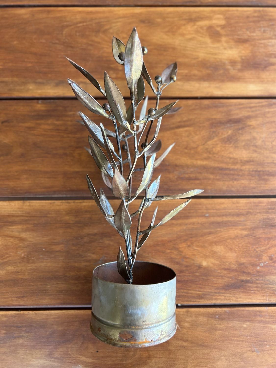 Olivo Arte Botánico