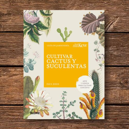Cultivas cactus y suculentas