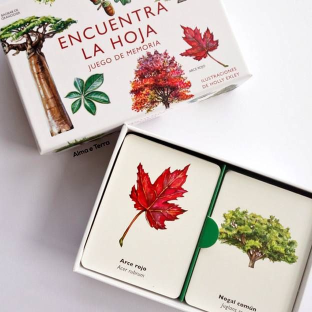 Encuentra la hoja Juego de memoria